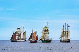 Segelschiffe auf der Ostsee in Warnemünde während von Rico Ködder