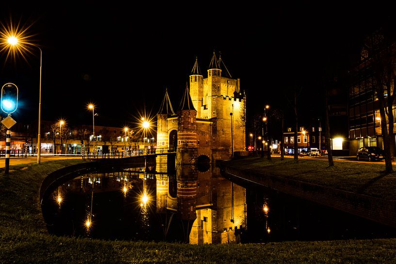 Amsterdamse Poort Haarlem van Esref Uzel