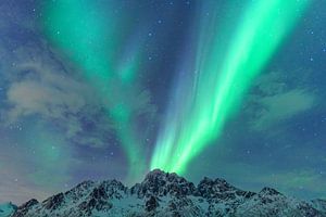 Nordlichter, Polarlicht oder Aurora Borealis im nächtlichen Himmel über den Lofoten Inseln