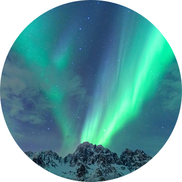 Noorderlicht, poollicht of Aurora Borealis in de nachtelijke hemel boven de Lofoten van Sjoerd van der Wal Fotografie