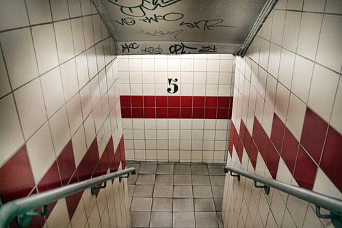 Cinquième niveau