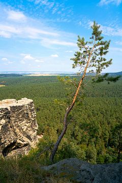 Uitzicht op het voorland van de Harz vanaf kasteel Regenstein van Heiko Kueverling