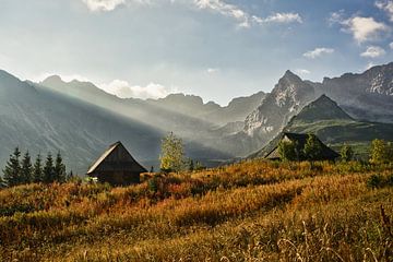 Sonnenstrahlen auf der Berghütte von Bart Nikkels