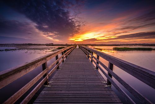 Pont pour piétons et cyclistes 't Roegwold