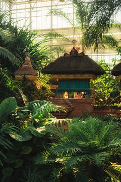Botanische oase: tropisch Bali-schrijn in de kas van NZME Photography