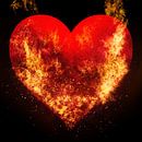 Burning love van Art by Jeronimo thumbnail