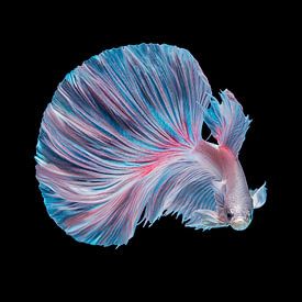 ANDI ABDUL HALIL Profilfoto