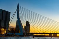 Erasmus Bridge