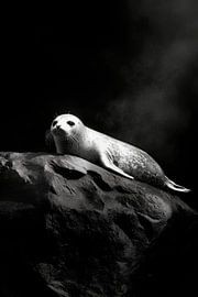 Robbe von Poster Art Shop