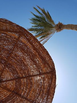 Zon en palmboom van Josef Rast Fotografie