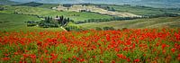 Podere Belvedere in a flowering poppy field III by Teun Ruijters thumbnail