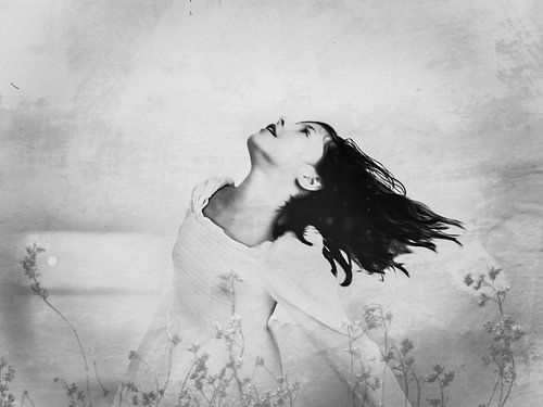 Die aufsteigende Schöne