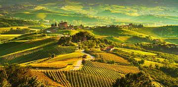 Grinzane Cavour en de wijngaarden van Langhe van Stefano Orazzini