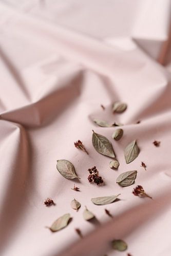 Rosa Foto ruhiges Leben, Herbstblätter und Blumen