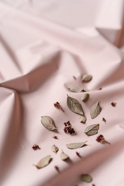 Pink photo quiet life, autumn leaves and flowers by An en Flor