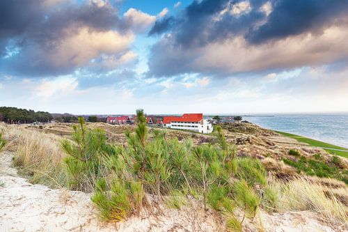Stay Okay Dellewal Terschelling