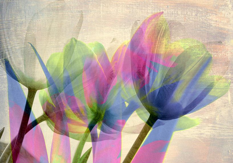 Bouquet de tulipes par Martine Affre Eisenlohr