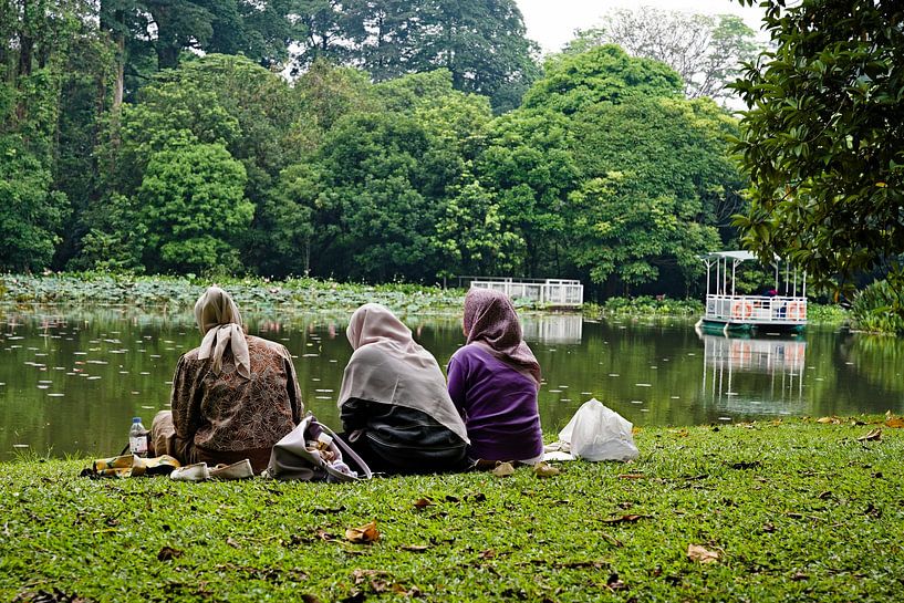 Trois amies en contemplation face aux nénuphars par Frank Photos