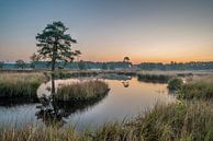 Hatertse-Moore von Peter Bijsterveld Miniaturansicht