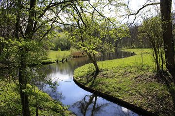 Boeren bos wandeling by Pamela Fritschij