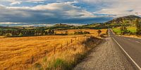 On the road in New Zealand by Henk Meijer Photography thumbnail