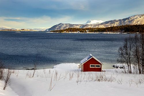 Rood huisje in winter Noorwegen