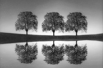Drie bomen weerspiegelt in het water “Black Edition “ van Truckpowerr