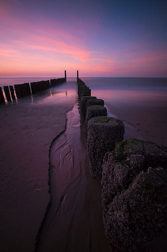 Terra Maris sur Ruben Van der Sanden