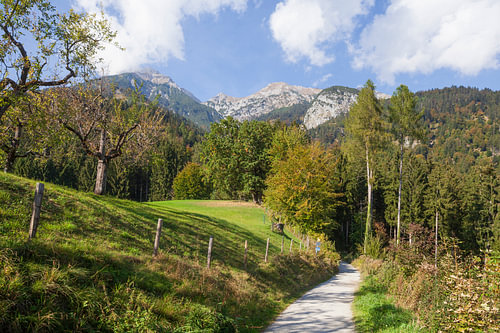 Mountains of the Karwendel range with woodland and a footpath