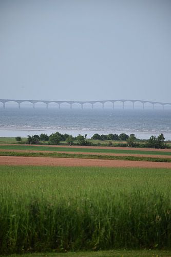 De Brug van de confederatie in de zomer
