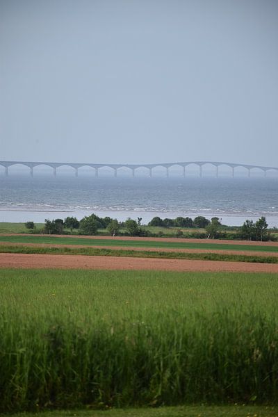 Confederation Bridge in summer by Claude Laprise