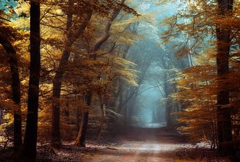 Sieht aus wie Herbst.