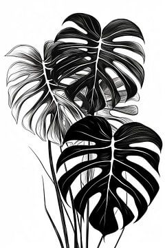 Monstera bladeren zwart-wit illustratie