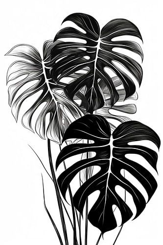 Monstera Blätter schwarz und weiß Illustration