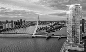 Skyline Rotterdam vom WPC