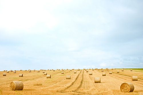 Malerische Agrarlandschaft