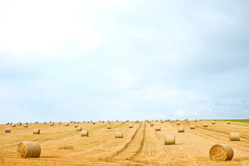 Malerische Agrarlandschaft von AS Photography