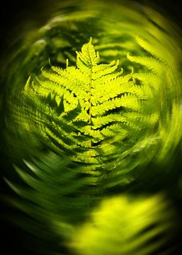 Green Leafs by Katja Waltmans