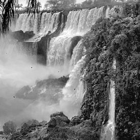 Watervallen in de Jungle van Jesse Simonis