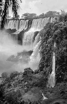 Wasserfälle im Dschungel von Jesse Simonis