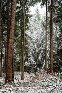 Winterwunderland von Max ter Burg Fotografie