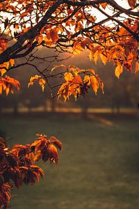 Sonniger Herbst in Kassel