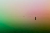 Ultieme leegte door groene en roze mist over de Rijkerswoerdse Plassen van Robert Wiggers thumbnail