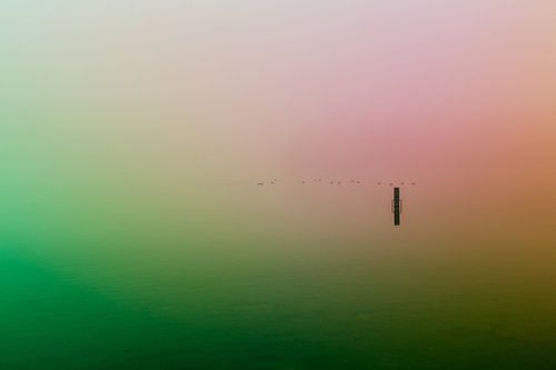 Ultieme leegte door groene en roze mist over de Rijkerswoerdse Plassen