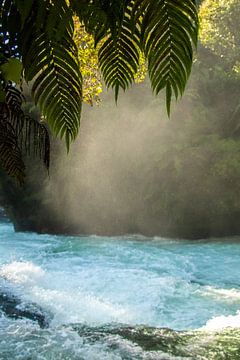 Ōkere Falls, Rotorua, Nieuw Zeeland van Nynke Altenburg