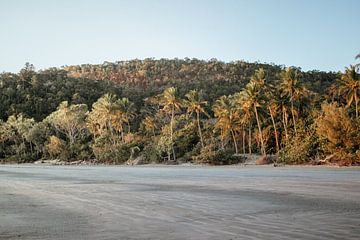 Australie - Zonsopgang op het strand in Cape Hillsborough van Amber Francis