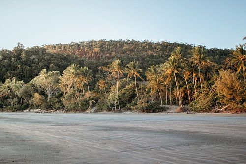 Sunrise on the beach at Cape Hillsborough