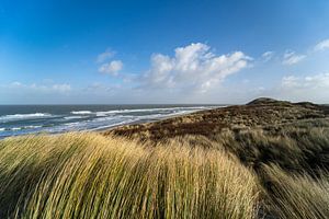 Les dunes de Vlieland sur Marjon Tigchelaar