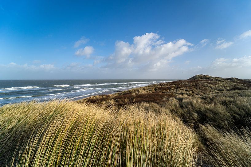 The dunes on Vlieland by Marjon Tigchelaar