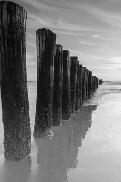 Rangée de poteaux sur la côte de la mer du Nord près de Schoorl, noir et blanc sur Bram Lubbers